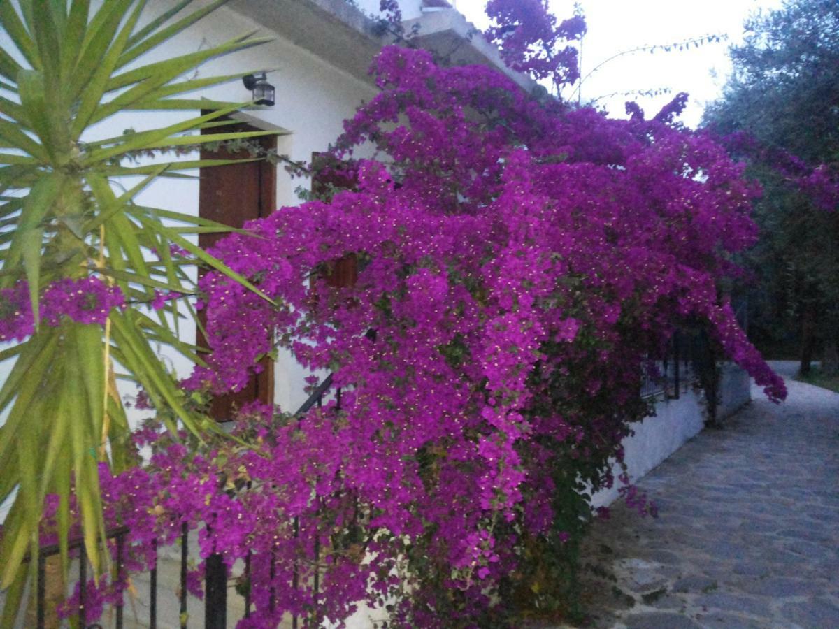 Menelaos Apartments Lefokastro Bagian luar foto